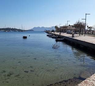 Yachthafen Puerto de Pollensa