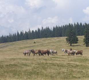 Parcul Natural Apuseni