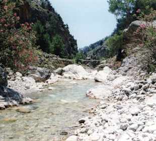 Samaria - Schlucht 4