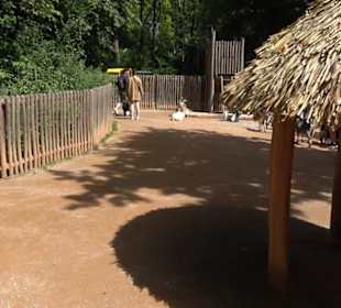 Tierpark Hellabrunn - Afrika