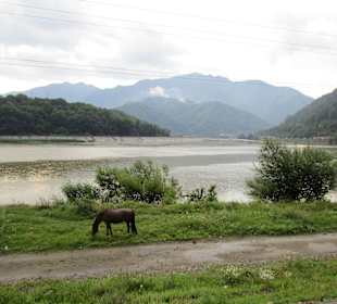 Valea Oltului / Olt-Tal 