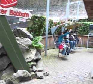 Themenbereich Schweiz