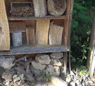 Botanischer Garten München