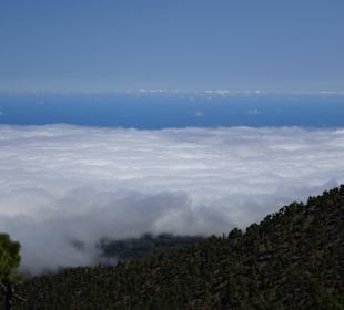 Roque de Los Muchachos