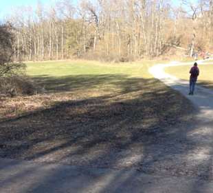 Burgruine Hohenstein