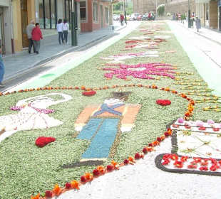 Alfombras florales Burela