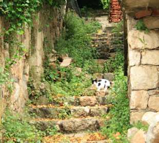 Ston, uliczka