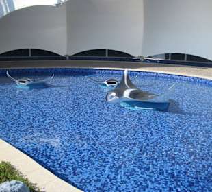 Palma Aquarium Eingang