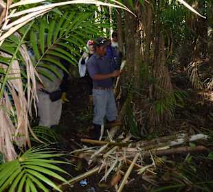 Unterwegs in Venezuela