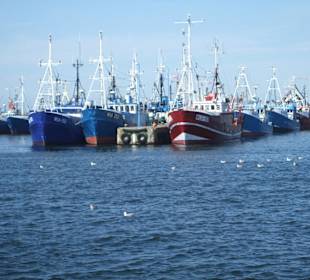Port - Władysławowo