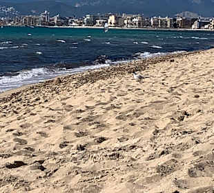 Strand Playa/Platja de Palma