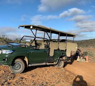Safari Tour