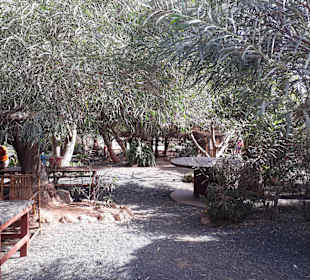 Botanischer Garten Viveiro	