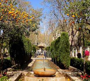 Gartenanlage, März 2017