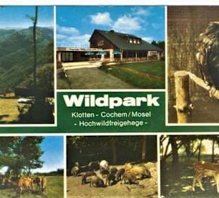 Die Postkarte von den Anfängen, 