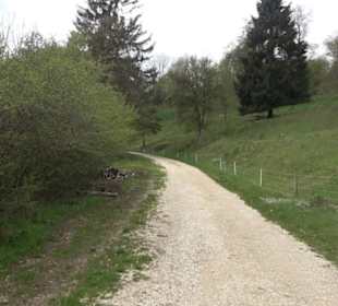 Premiumwanderweg Hochgebürzelt