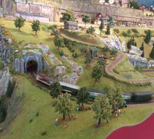 Schmalspurbahntrasse mit Zug