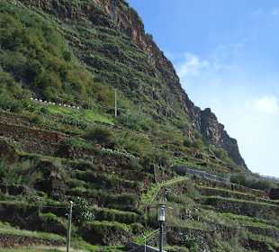 Lokal in Jardim do Mar