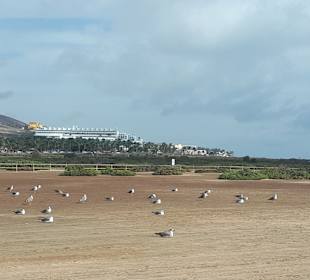 Leuchtturm Morro Jable