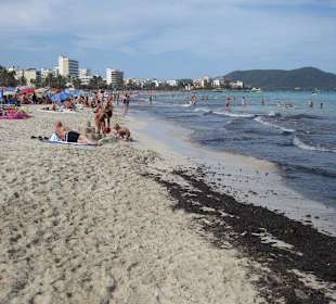 2-3 Tage ein schmutziger Strand