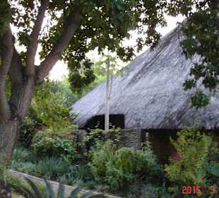 Krüger Nationalpark