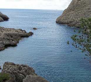 Bucht bei Cala Fornell