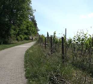 Früchtetrauf - Wurmlinger Kapellenwegle