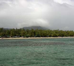 Dolswim - Dolphin & Whales Watching