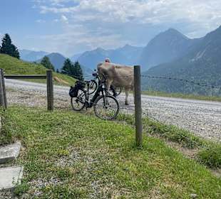 Sport & Freizeit