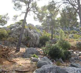 An der Strasse zur Cala