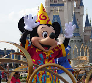 Disney's Magic Kingdom Orlando