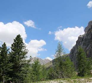 Bepflanzung an der Sellajoch-Straße