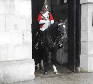 Horse Guard Impression