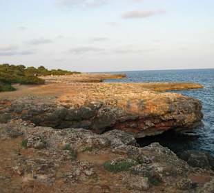 Naturschutzgebiet zwischen Sa Coma und Cala Millor