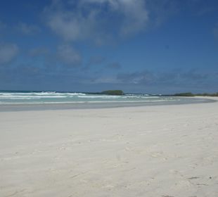 Strand Tortuga Bay