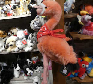 Geschäft "Tedddys"