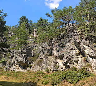 Naturschutzgebiet Großer Pfahl