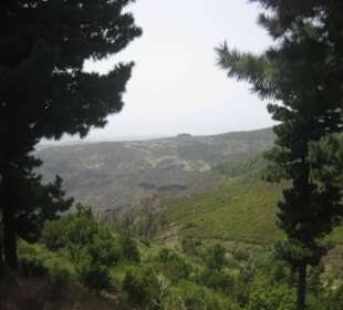 Wanderung vom Alto Garajonay ins Tal