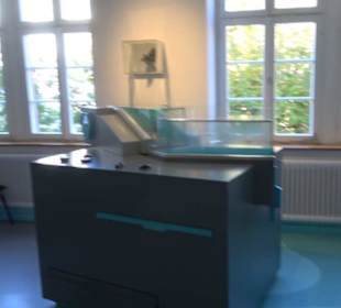 Museum Natur und Mensch