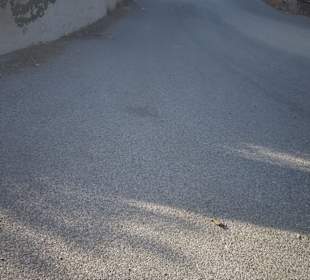 Wandern Agia Pelagia