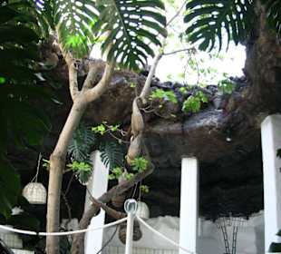 Dieses Haus ist eine Augenweide.