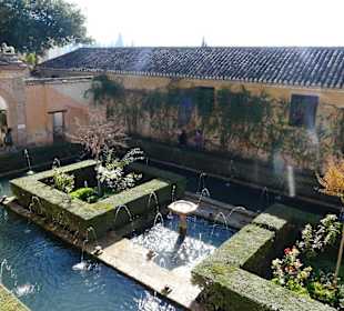 Dettaglio del giardino