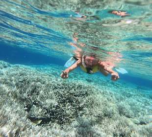 Unterwasserwelt in Hurghada