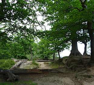 Wandern Bad Schandau