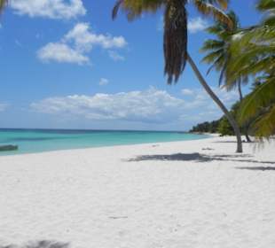 Traumhaft Insel Saona