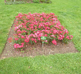 Kurpark