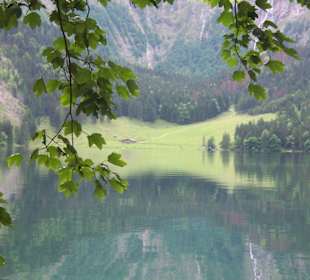Blick auf die Fischunkelalm am Obersee