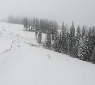 Widoki z Pasieka Express - koniec trasy biegowej