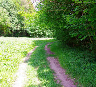 Wanderung zum Bärenfels