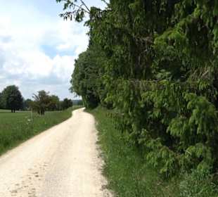 Klimaweg Sonnenalb